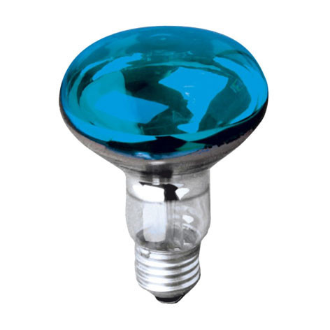 Ampoule Couleur bleue Concentra R80 230V 60W GA30 E27 – 006576 – Orbitec