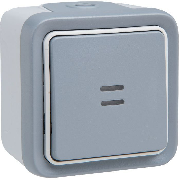 Poussoir NO lumineux complet IP55 – Plexo – Gris – 069722 – Legrand