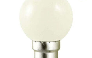 Ampoule LED SMD couleur 1W 50lm - Blanc FROID - B22